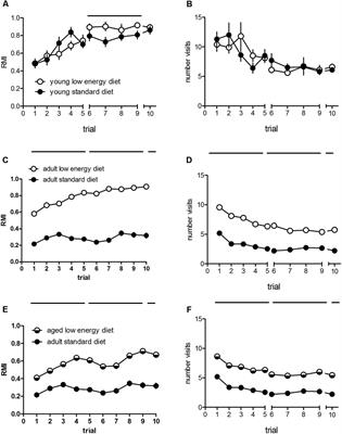 Moderate Differences in Feeding Diets Largely Affect Motivation and Spatial Cognition in Adult and Aged but Less in Young Male Rats